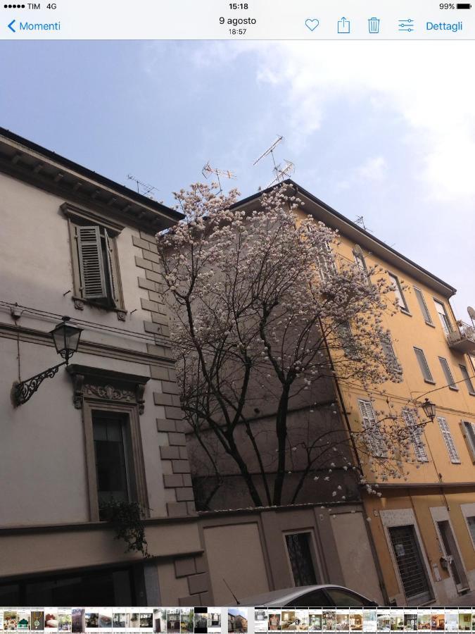 Magnolia Bed & Breakfast Casale Monferrato Bagian luar foto